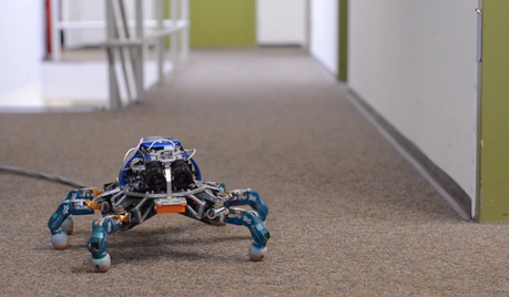 Que font les chercheurs en robotique pendant leur pause ?