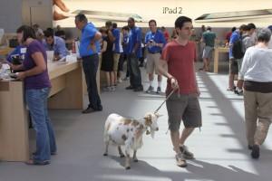 [Video] The Apple Store Challenge