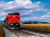 Sony nouveaux S-Frame