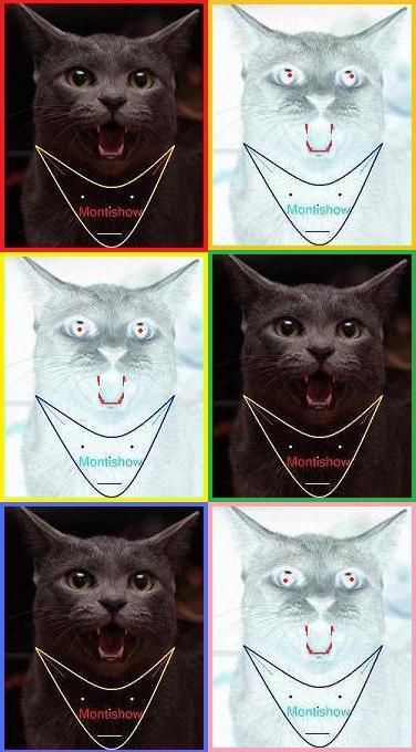 Ne m'astiquote pas, je suis au fond du pot là