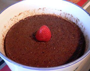 gâteau au chocolar micro-ondes