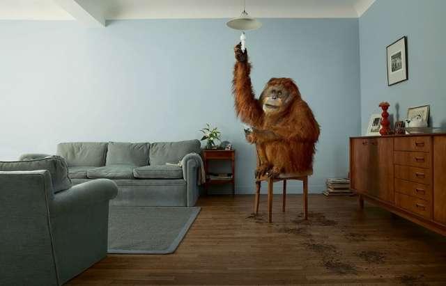 jean-yves-lemoigne-17