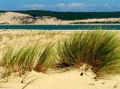 plus vaste banc sable littoral Aquitain