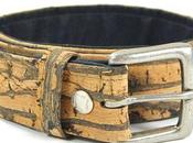 ceinture écologique est-ce possible