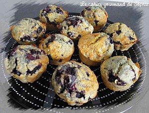 muffins-myrtilles-flocons-avoine-260711.jpg