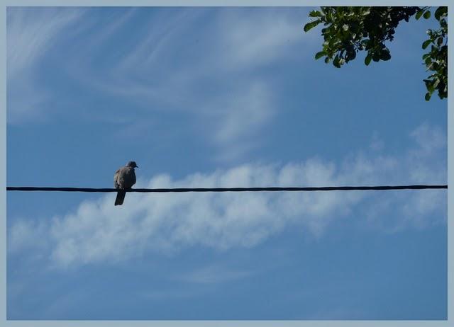 Le temps des vacances est arrivé... Une petite pause s'im...