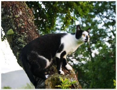 [Photo] Comment expliquer…