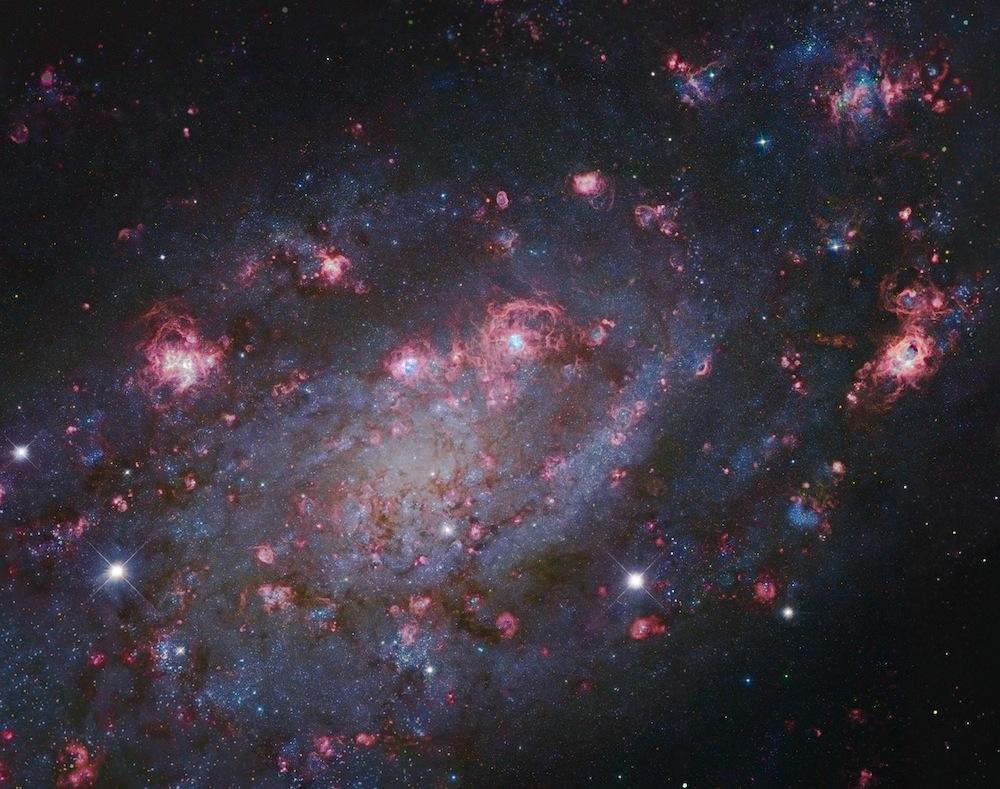 NGC 2403