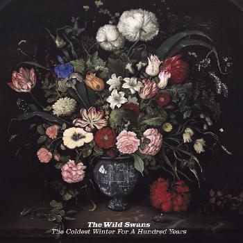 The Wild Swans - The Coldest Winter For A Hundred Years