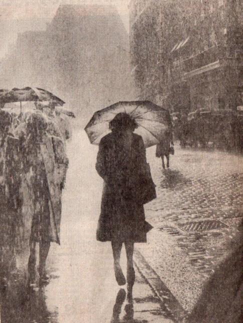 Il a beaucoup plu sur Lille en Juillet 2011.