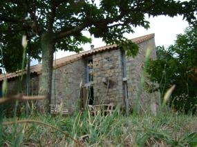 P’tit déj des vacanciers