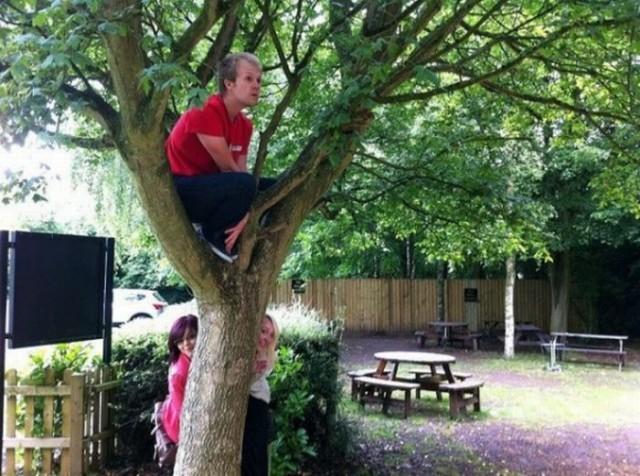 Owling arbre 640x476 Owling nouvelle figure qui buzze