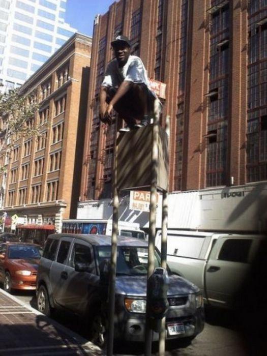 Owling rue Owling nouvelle figure qui buzze