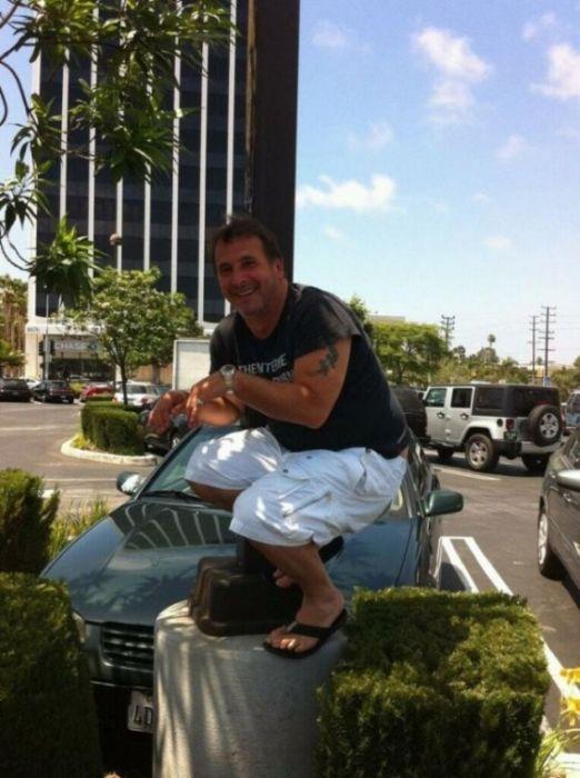 Owling photos Owling nouvelle figure qui buzze