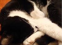 La photo du dimanche #5