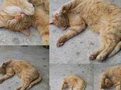 Photo dimanche malheureux