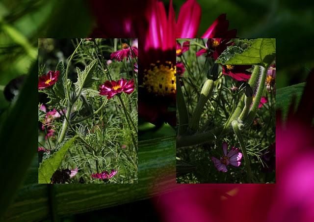 Tout cela est parti du fait que je ne sais plus quoi fair...