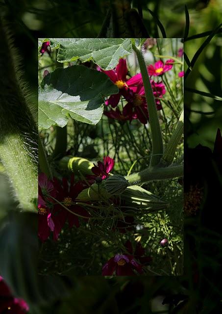 Tout cela est parti du fait que je ne sais plus quoi fair...