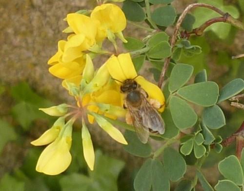 poésie,poèmes,livres,recueils,écriture,société