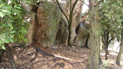 DES VACANCES A HYERES...