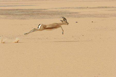 Assan Midal : un parcours de résistance Assan Midal (3)