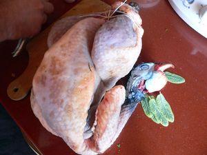 couture et cuisine 014