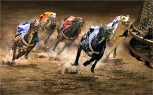 Règle d’or, finances de plomb