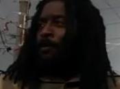 Wild Life présente Vampire