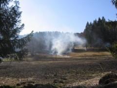 l'alerte joyeuse,poésie,éditions orage-lagune-express,droits réservés,1997,recueil,feu,écobuage