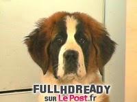 12h de XBOX et il meurt..