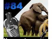 L’apéro Captain Divorce numérique pour community manager Nelly l’éléphant