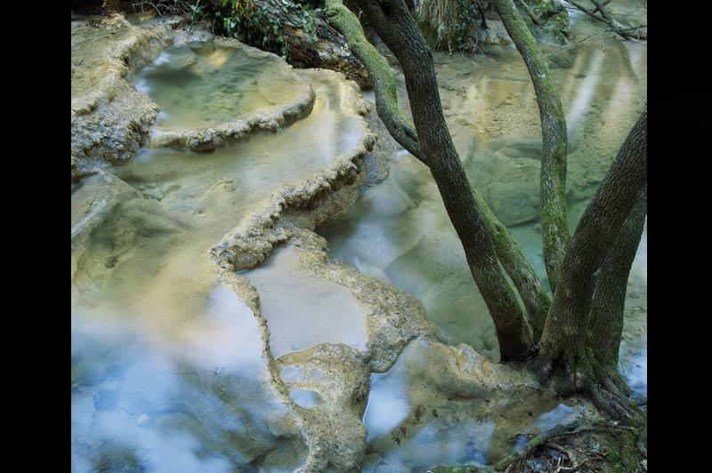 <b></div>La Provence comme un parc américain</b><p> Yellowstone, le plus ancien parc naturel du monde, s’étend sur une superficie supérieure à celle de la Corse. Il est célèbre pour ses phénomènes naturels : les geysers, sources d’eau chaude. C’est aussi le plus grand« super volcan » d’Amérique du Nord. Mais au diable ces superlatifs ! Les sources de l’Huveaune, ce fier petit fleuve provençal, rivalisent crânement avec lesMammothHot Springs de Yellowstone. Ses vasques sont façonnées par des eaux chargées en calcaire à l’issue d’un long parcours à travers le massif de la Sainte-Baume.