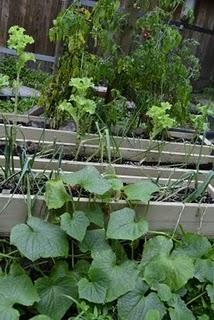 Dans notre jardin de fées et lutins, il y a...