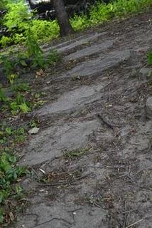 Dans notre jardin de fées et lutins, il y a...