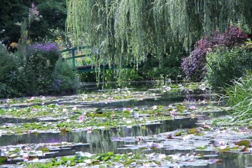 fondation claude monet,waterlilies,giverny,claude monet,jardin claude monet,france,musée des impressionnistes