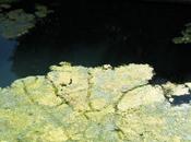 DéfifotoEaux-Marché, rejets tome