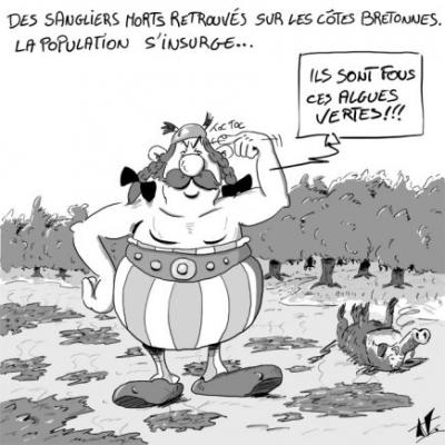 Talent de nos dessinateurs