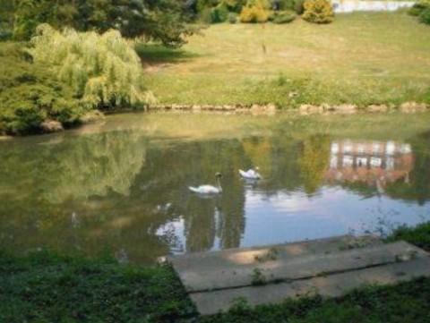 le Manoir  aux Loups.