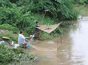 aout 2011. Udonthani Pluie pêche.