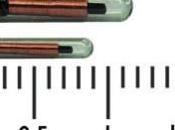 Tatouage chien chat change partir juillet 2011