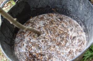 Faire son engrais liquide.