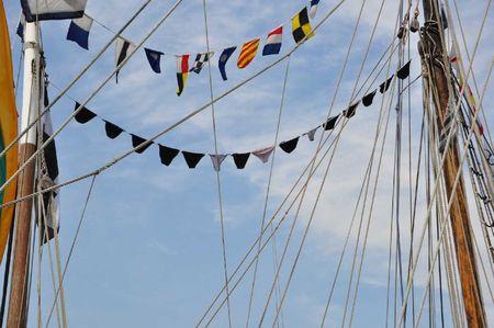 Grand-Pavois-type-Irlandais-(1)