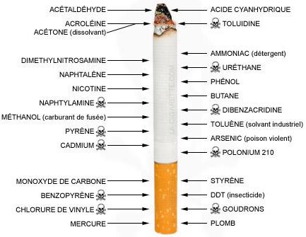 Les principaux constituants d’une cigarette