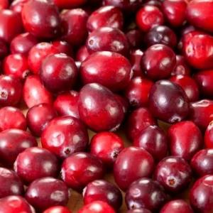 INFECTIONS URINAIRES: Les cranberries réellement efficaces? – Archives of Internal Medicine