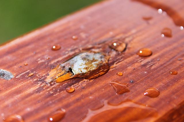 Photos : La montagne, ça vous gagne !