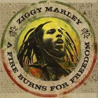 Ziggy Marley rejette les appels au boycotte d'Israël