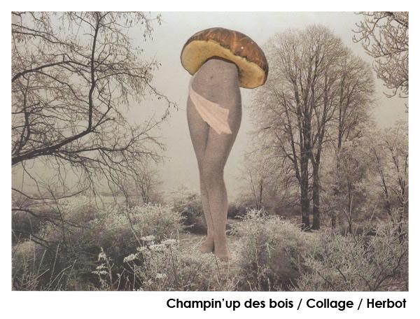 Champin’up des Bois