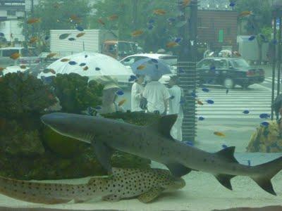 Le Sony Building à Ginza