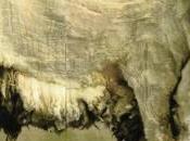 Bourses: faut castrer moutons