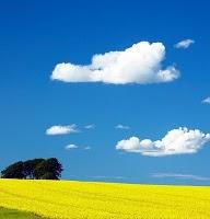 Le slide du vendredi : Blue sky thinking at cloud circle